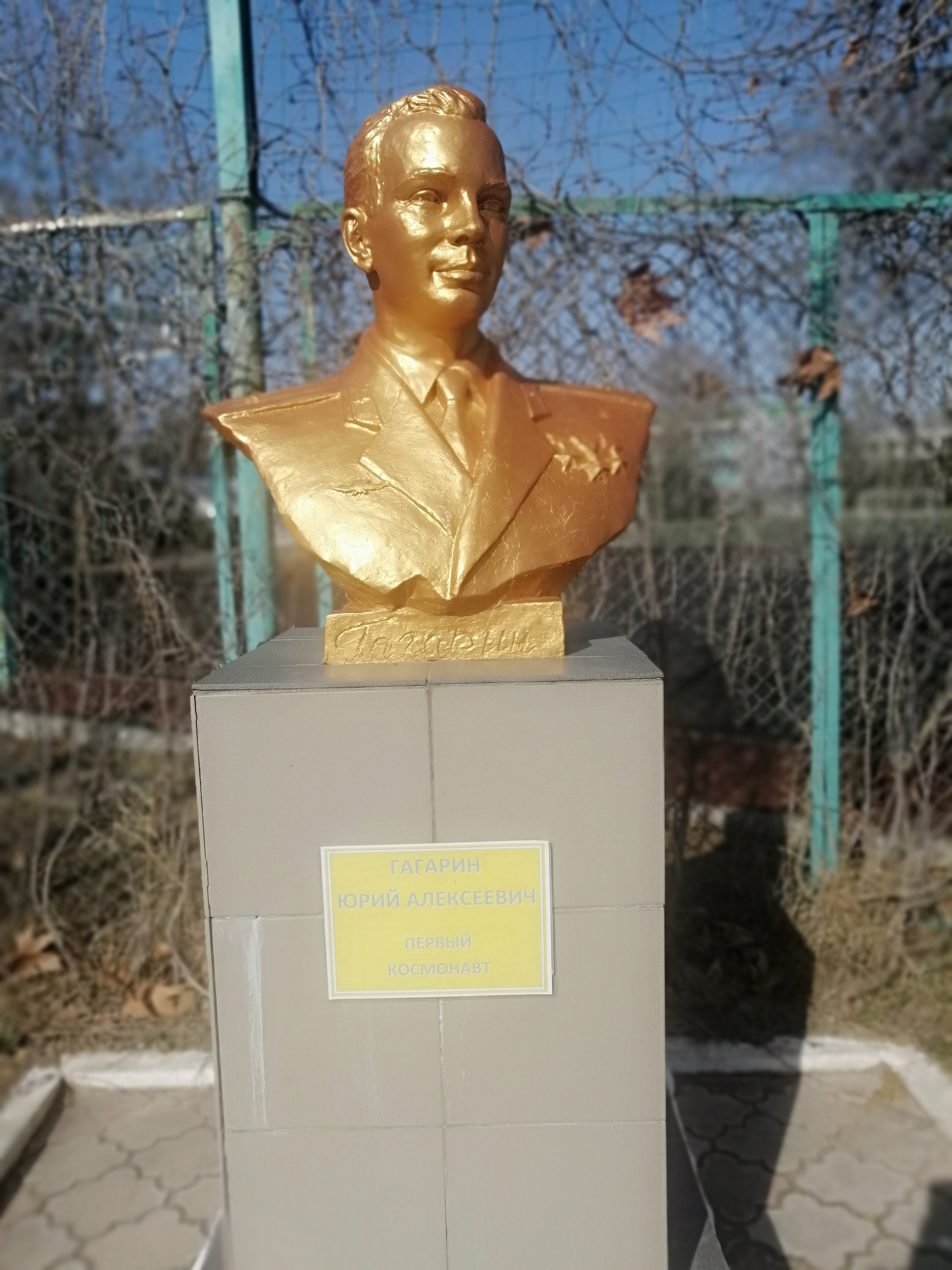 Фото Гагарин