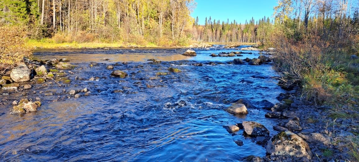 Фото Карху Сегозеро
