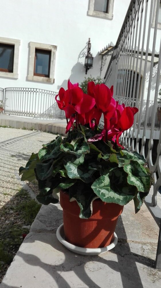 Фото Relais Sant'Eligio