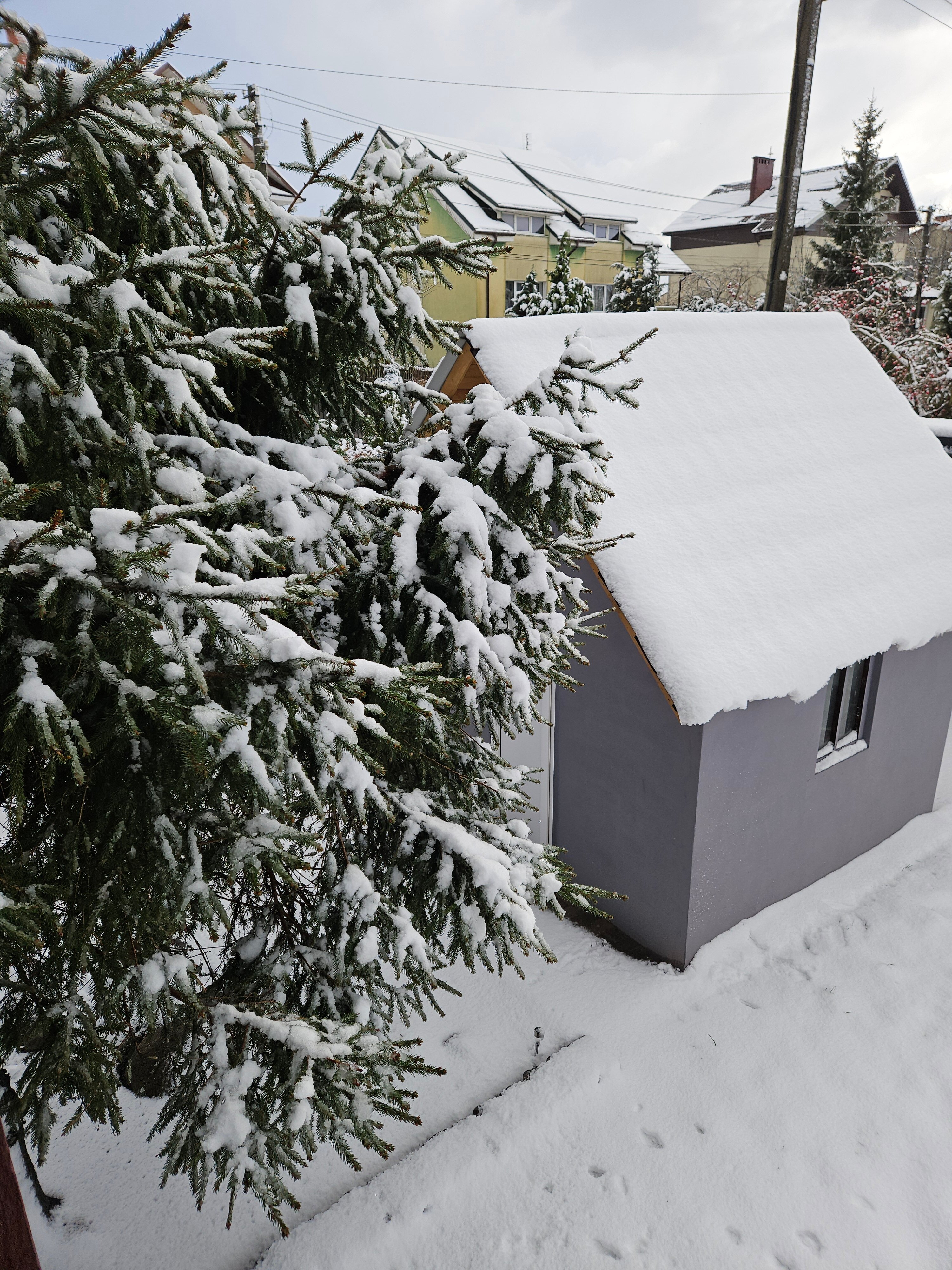 Фото Миниотелик