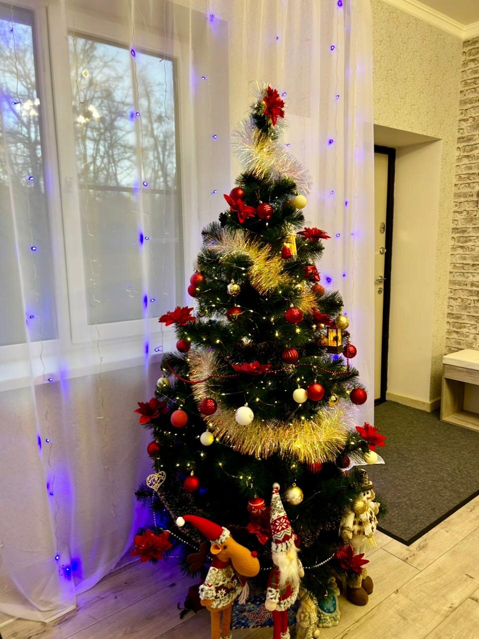 Фото Лазурный