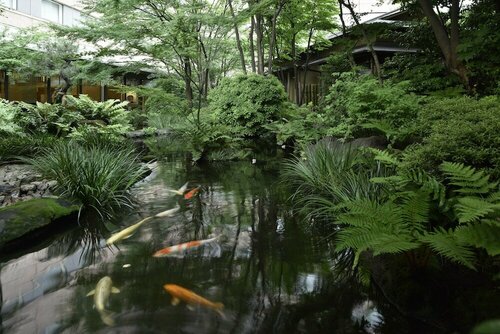 Гостиница Royal Park Hotel Tokyo Nihonbashi в Токио