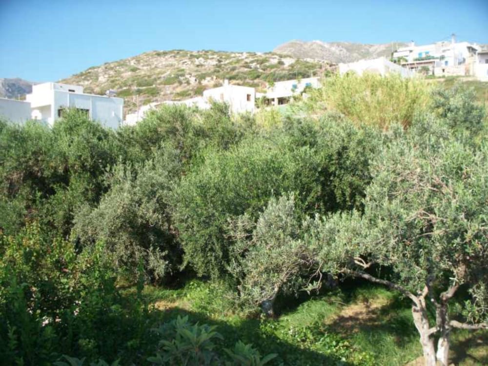 Фото Adonis Hotel Naxos