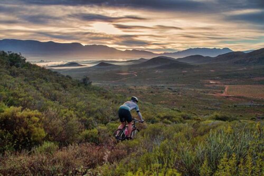 Фото Gubas De Hoek meet eat sleep