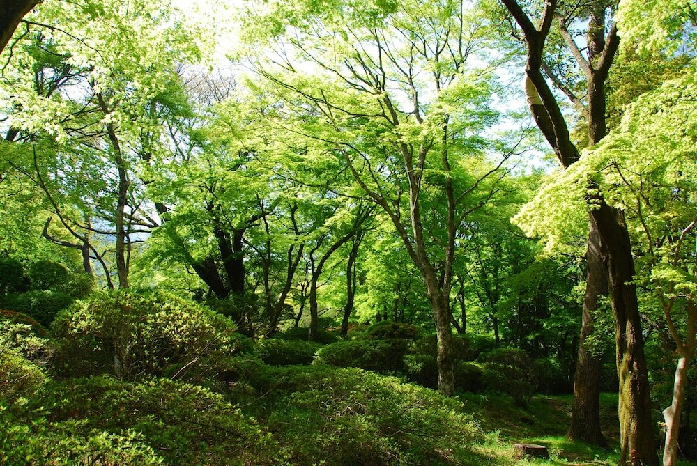 Фото Hakone Kowakien