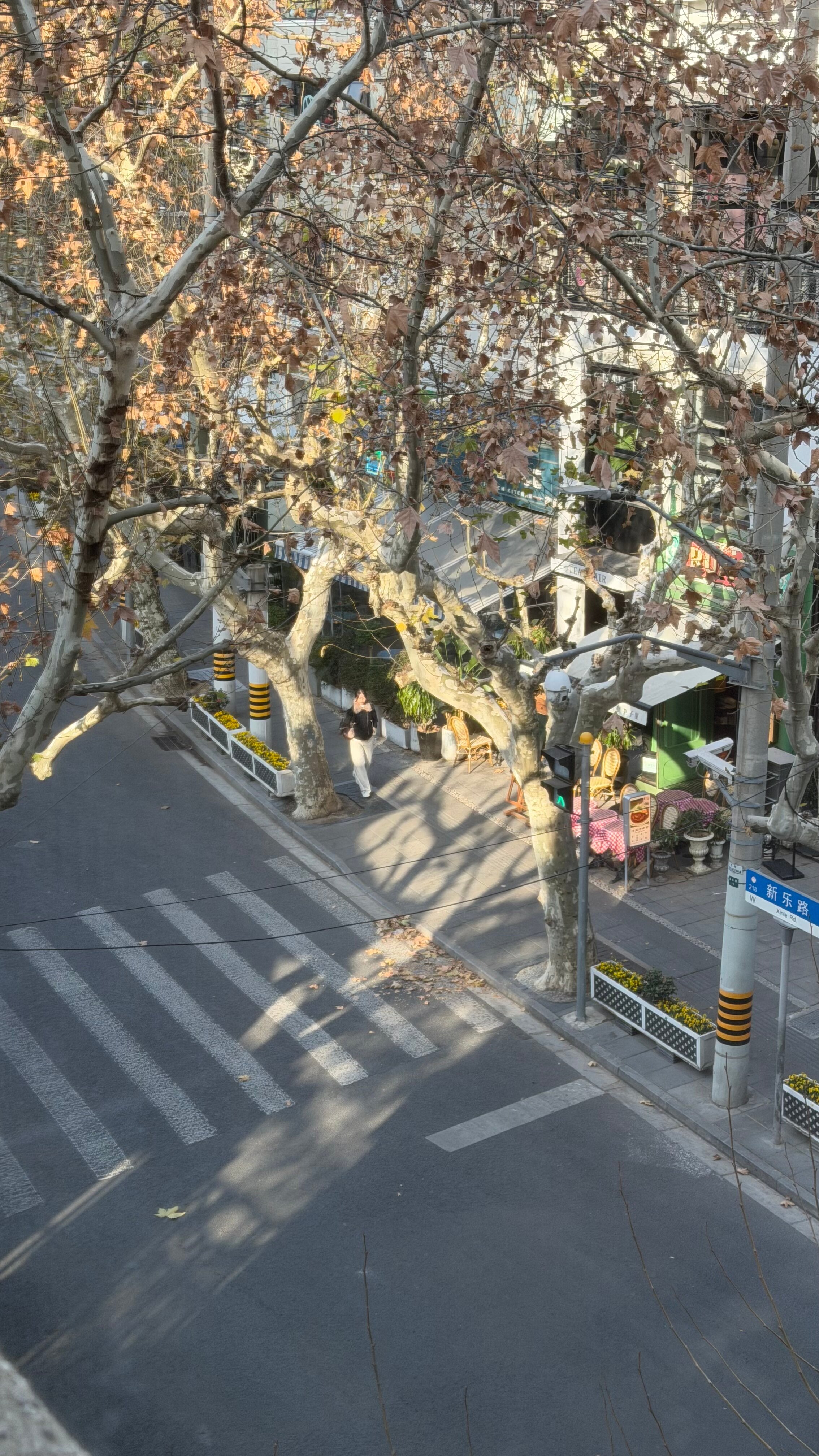 Фото Shanghai Donghu Hotel