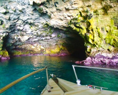 Внешний вид отеля Apulia 70 Holidays в Полиньяно-а-Маре, фото 4