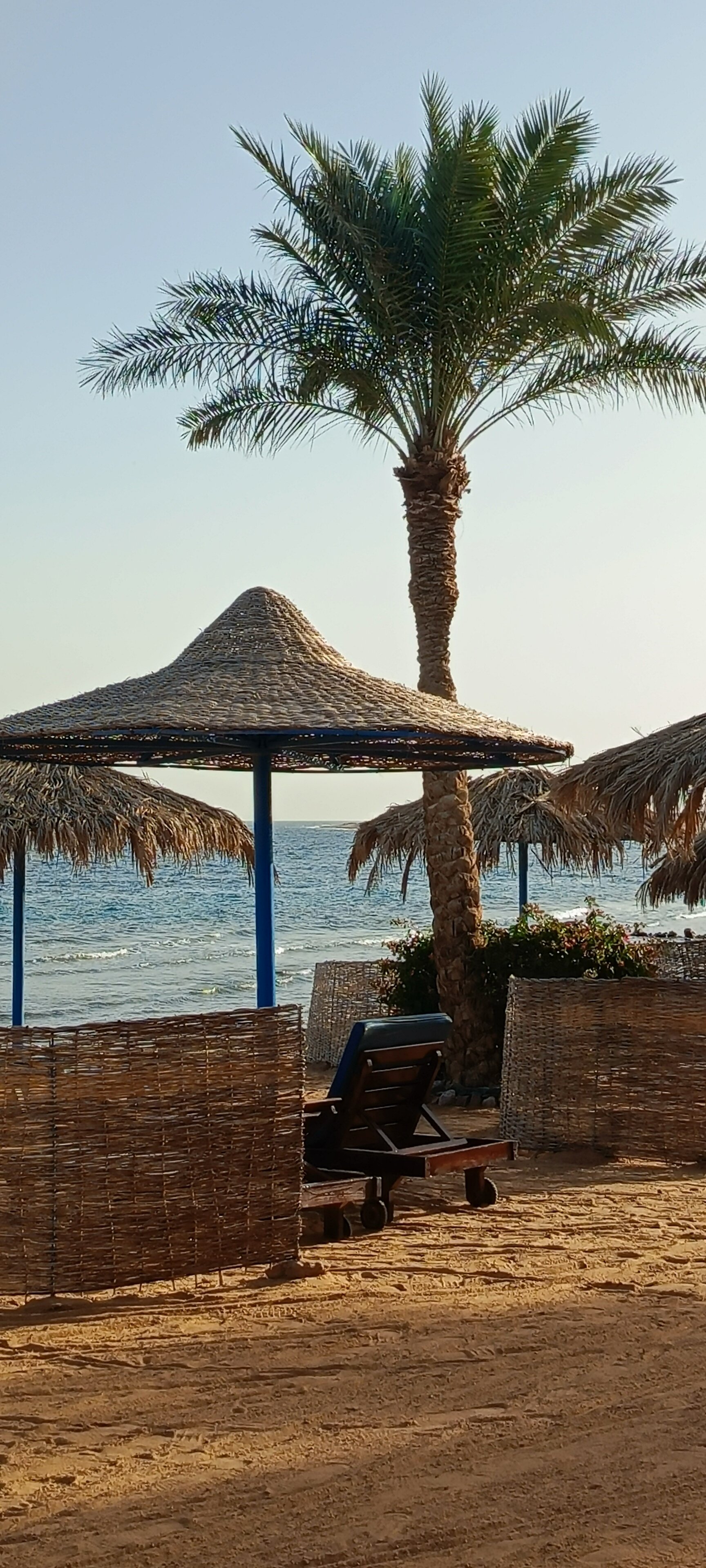 Фото Ecotel Dahab Bay View Resort