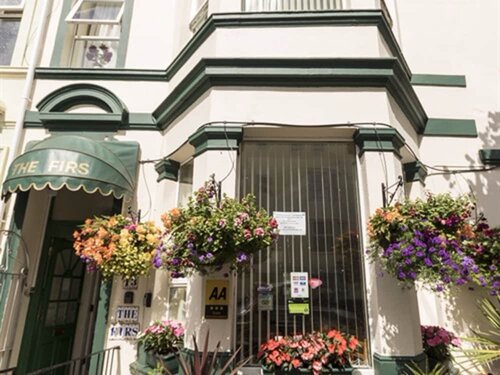 Гостиница The Firs Guest House в Плимуте