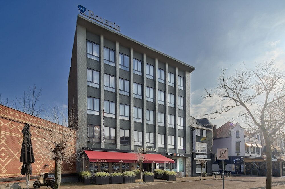 Фото Hotel La Reine