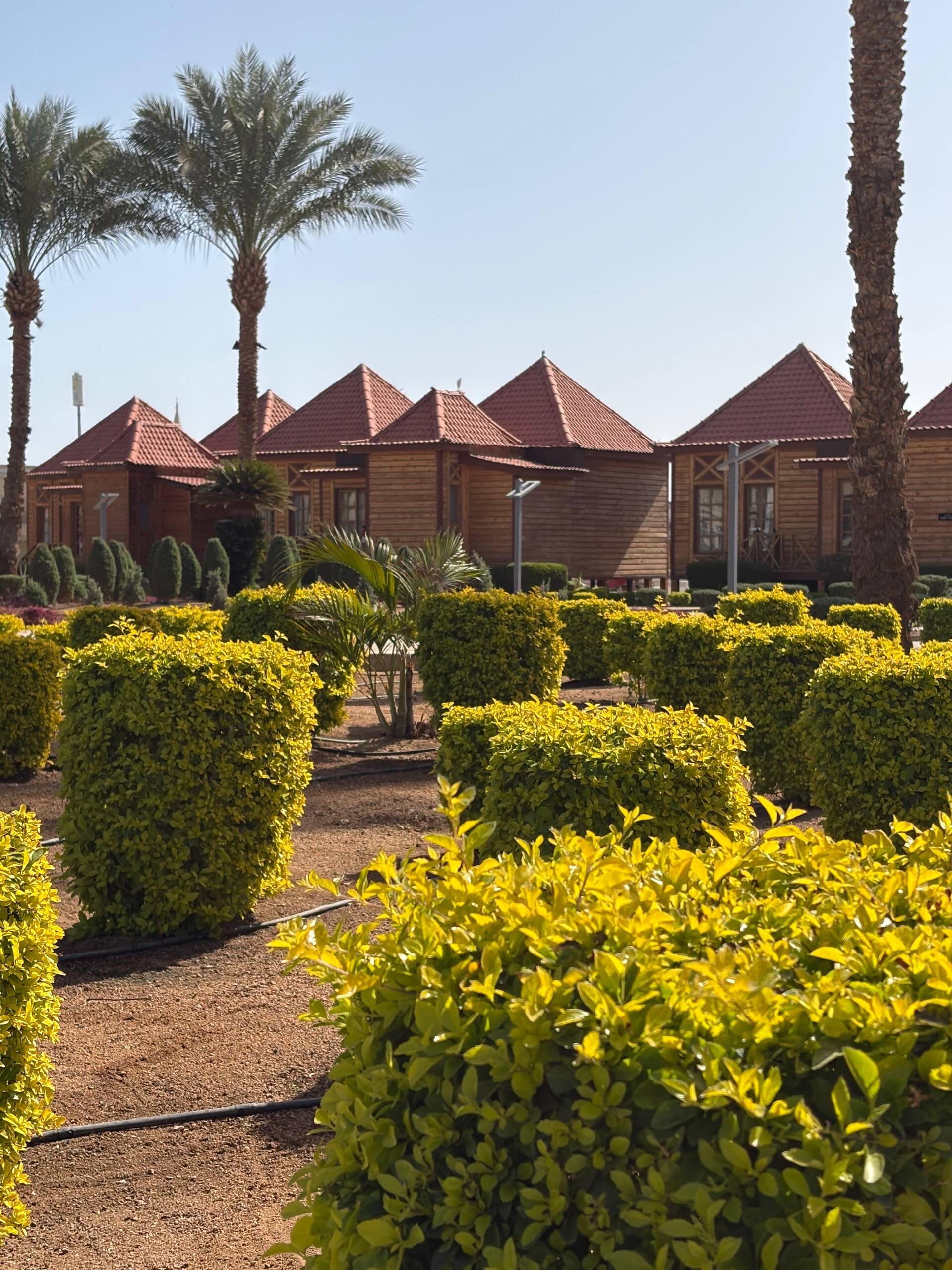 Фото Pickalbatros Palace Resort