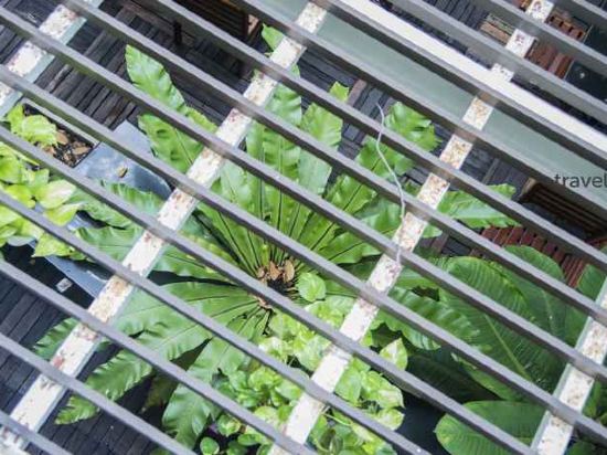 Фото Trang Hotel Bangkok