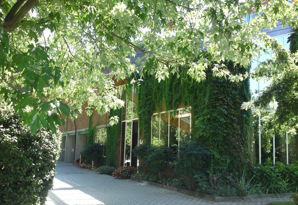 Фото Business Hotel