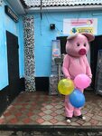TerraPet (rabochiy posyolok Ivnya, Sovietskaya Street, 3), pet shop