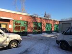 Na Uktuse (ulitsa Darvina, 4Д), car service, auto repair