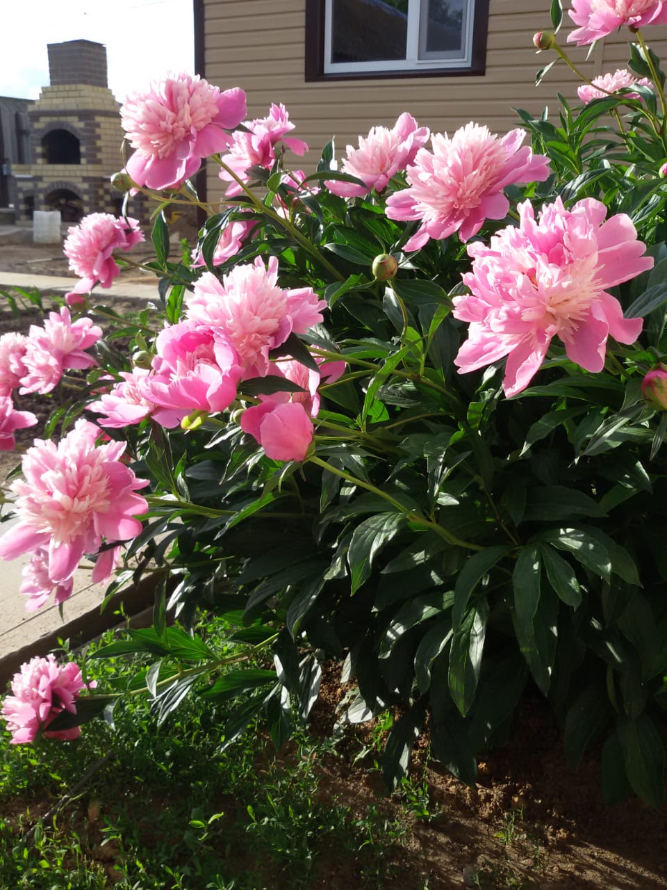 Фото В гостях у бабы Поли