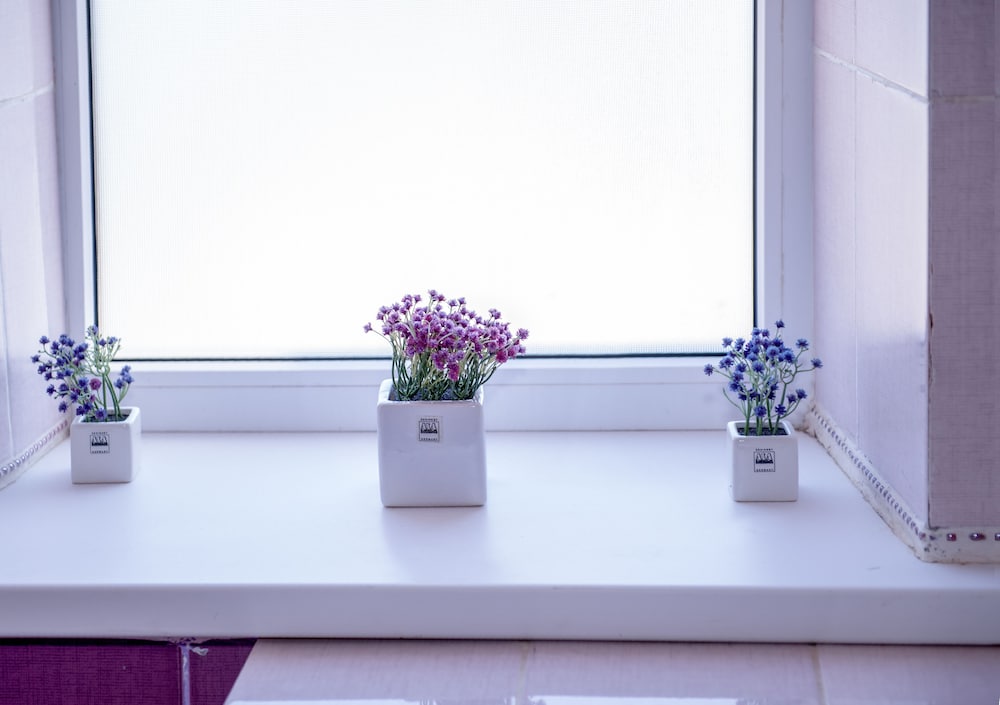 Фото Двор сурка