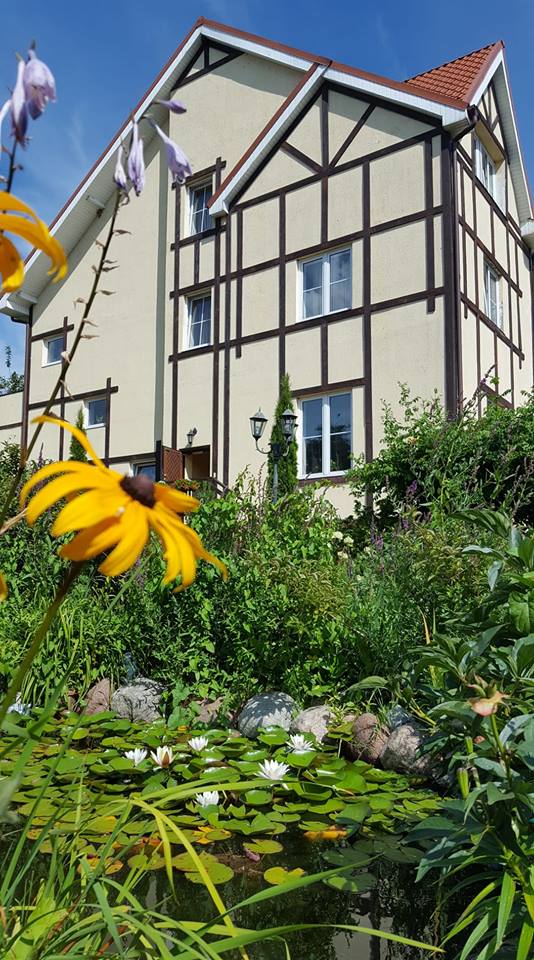 Фото Золотая Орхидея