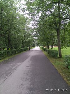 Аллея памяти (Velikiy Novgorod, 30 Let Oktyabrya Park), landmark, attraction