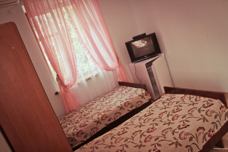 Фото Дельфиниум