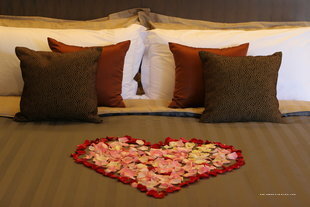 Фото Best Western Plus Bristol Hotel