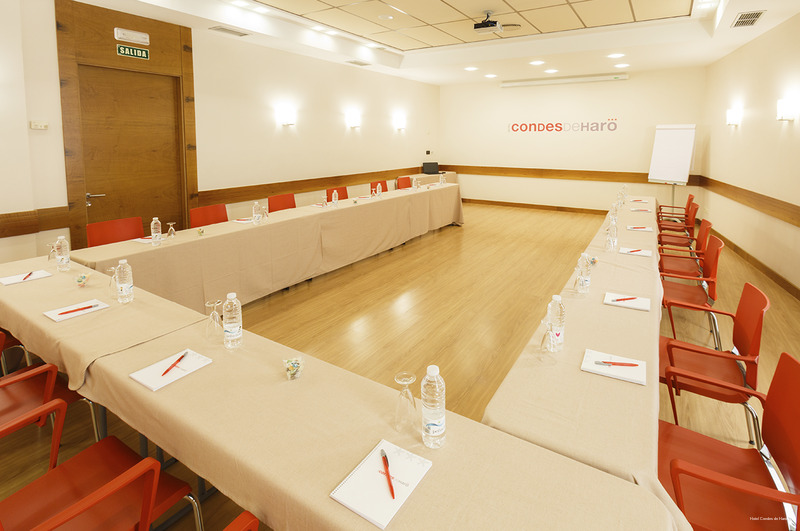 Фото Hotel Condes de Haro