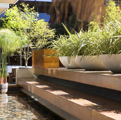 Фото Hotel Madero