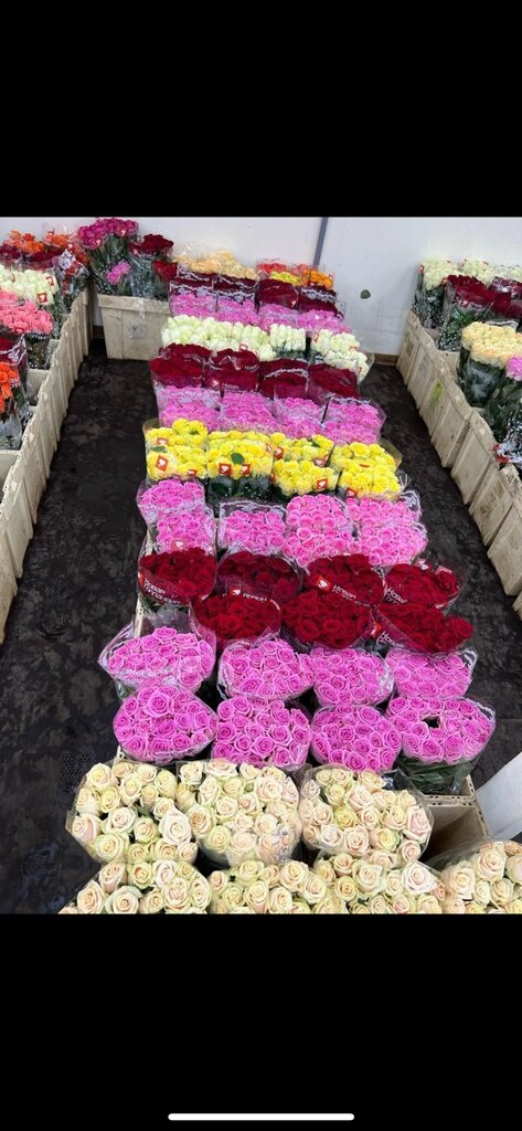 Flower shop Оранжерея Твой дом, Moscow and Moscow Oblast, photo