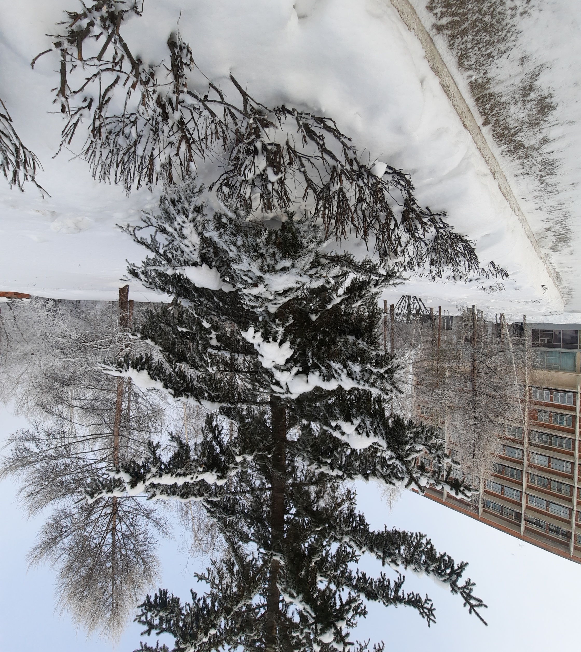 Фото Солнечный