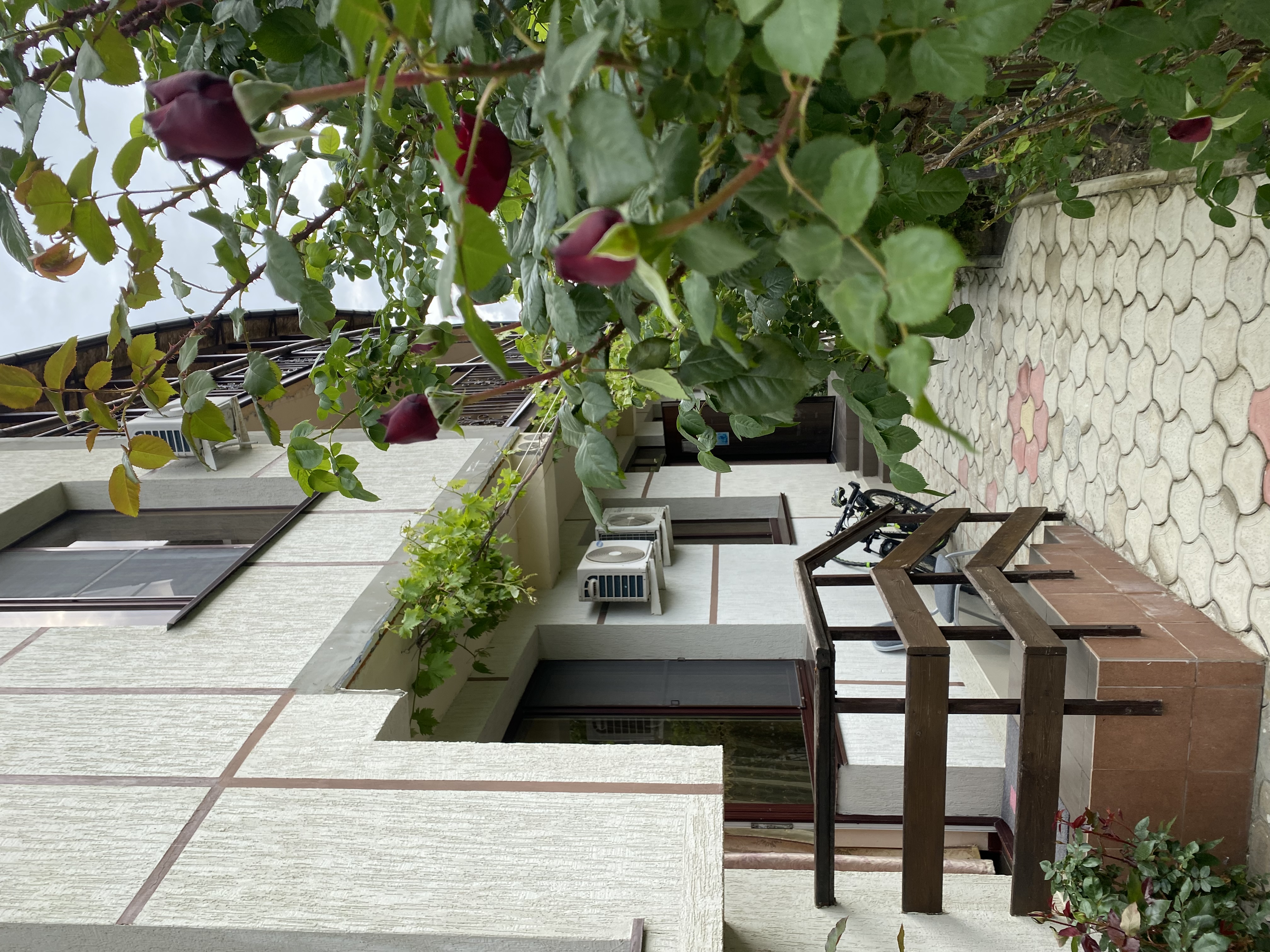 Фото Родничок