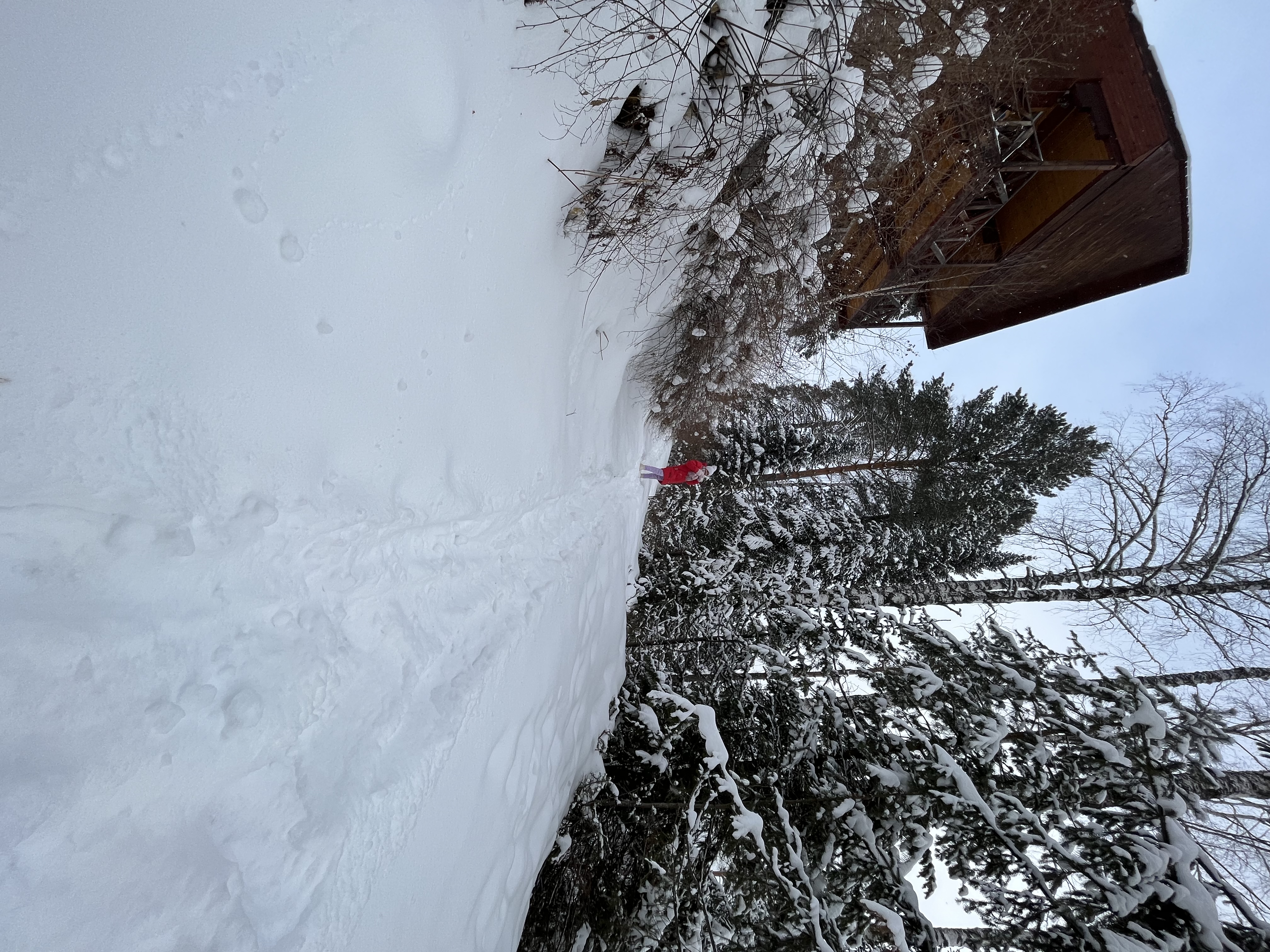 Фото Телецкие Терема