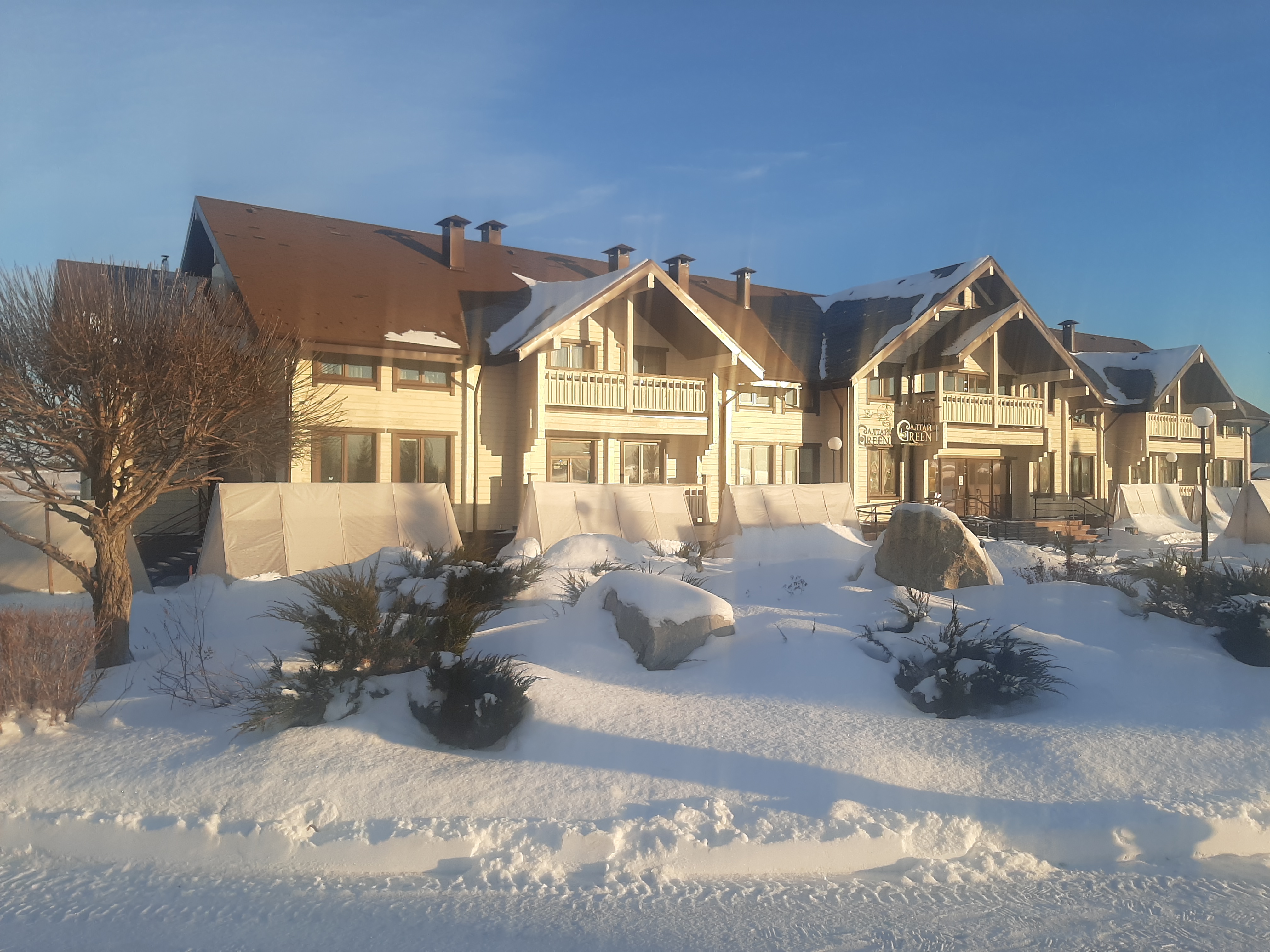 Фото Алтай Green