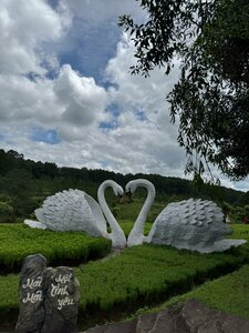Clay Tunnel (Lam Dong), landmark, attraction