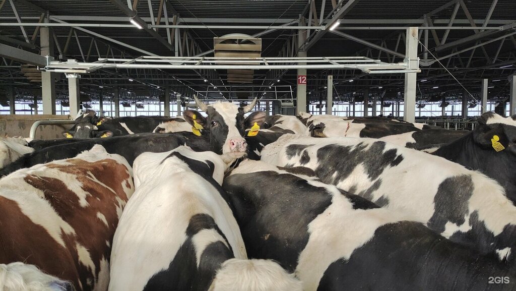 Production automation M-complex, Yaroslavl, photo