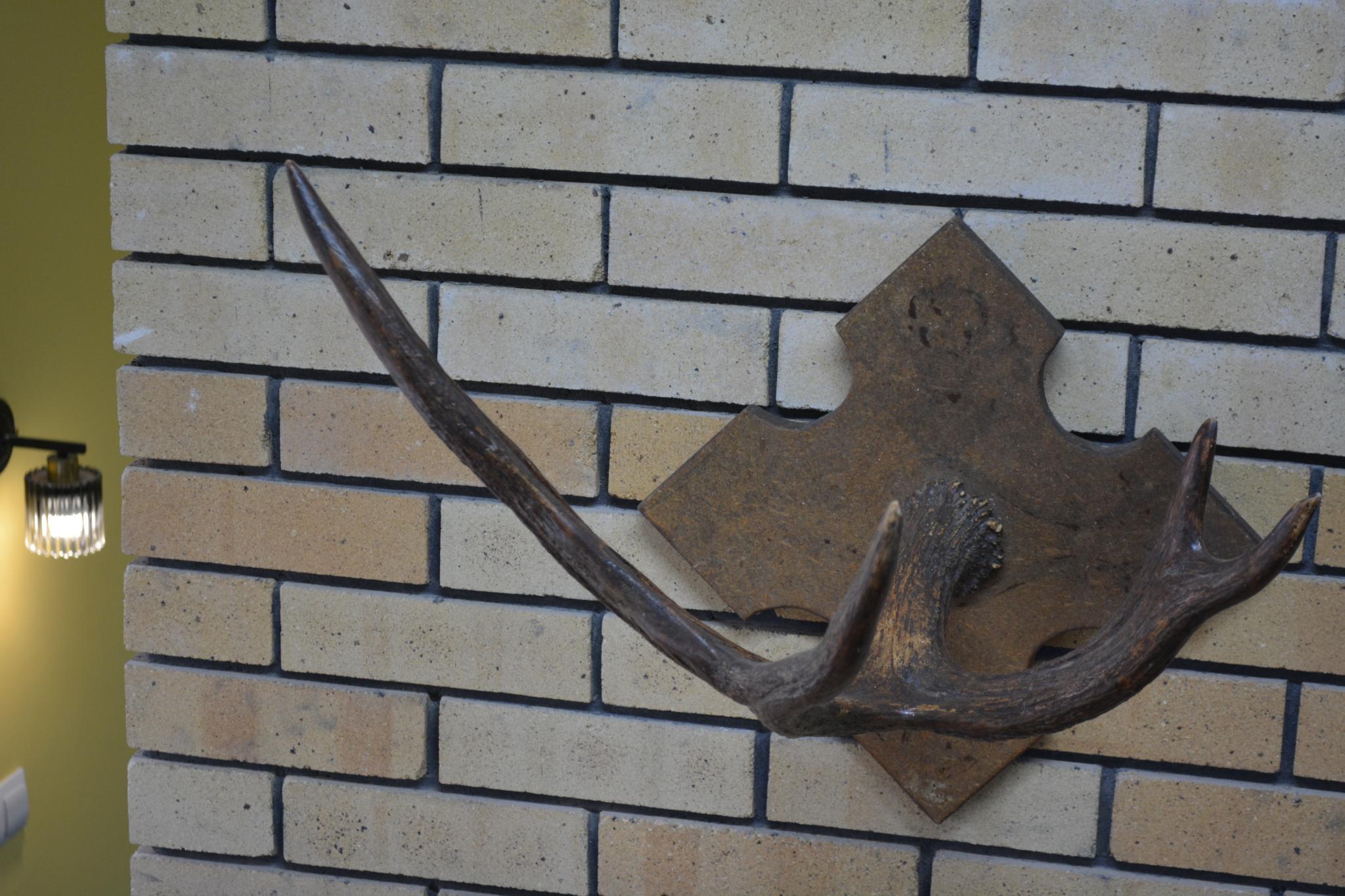 Фото Дистанция