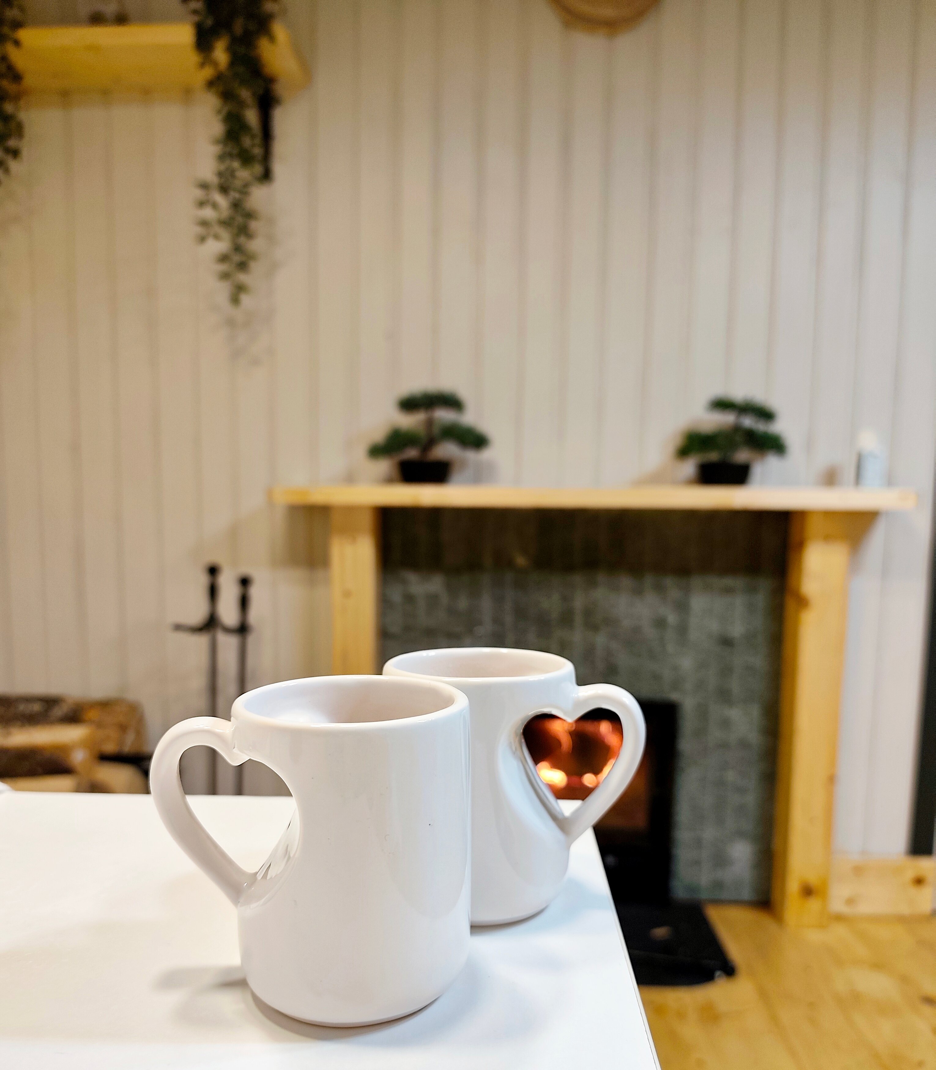 Фото Романов дача