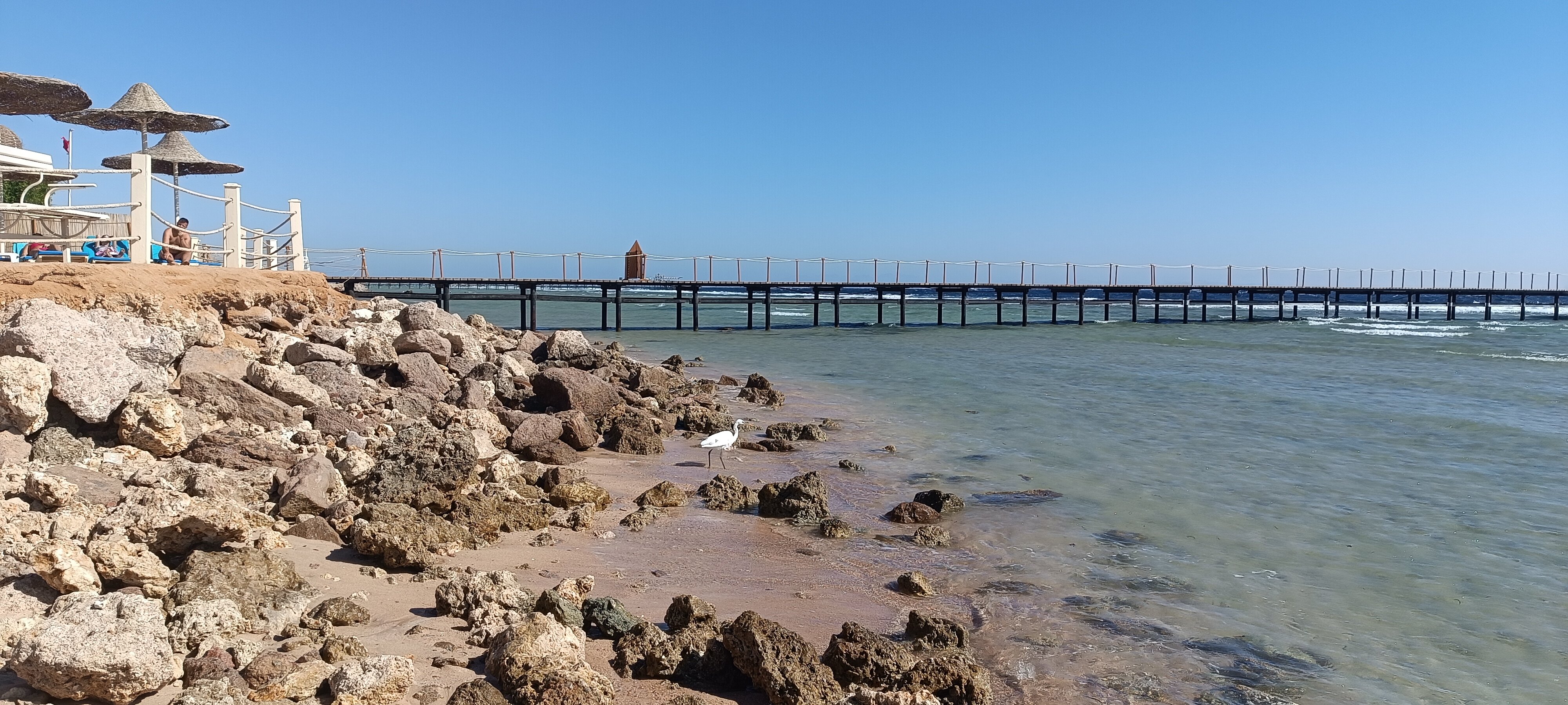 Фото Parrotel Aqua Park Resort