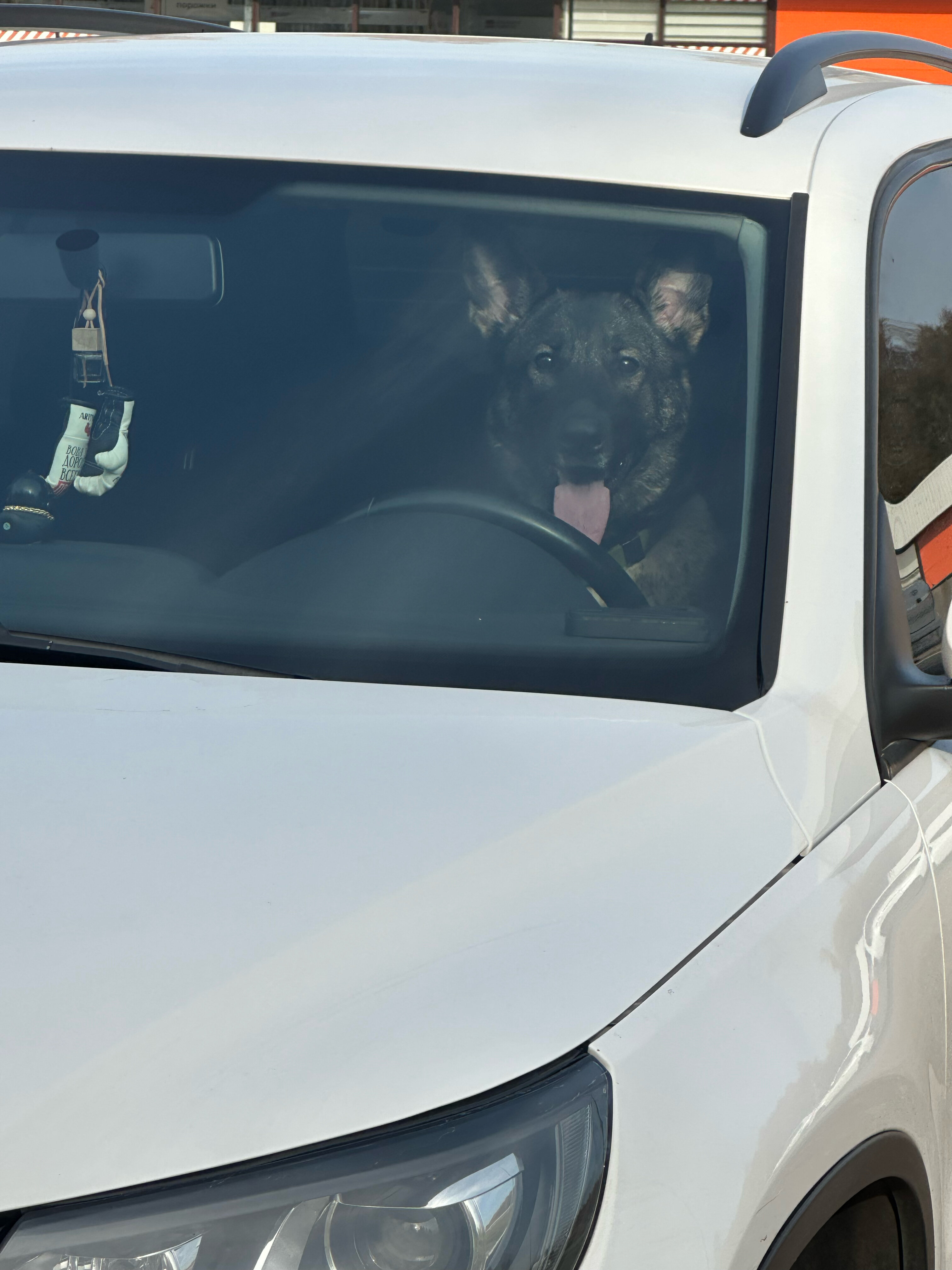 Фото Green Street