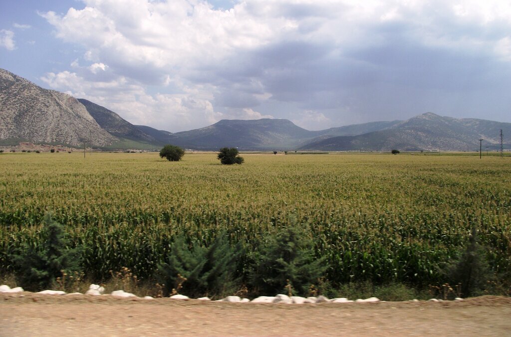 Administration Tavas Belediyesi, Tavas, photo