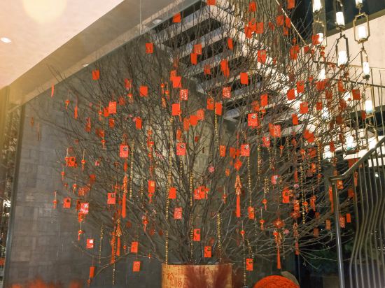 Фото JW Marriott Marquis Hotel Shanghai Pudong