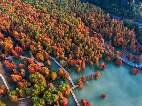 Фото Vienna Classic Hotel Hangzhou Linan