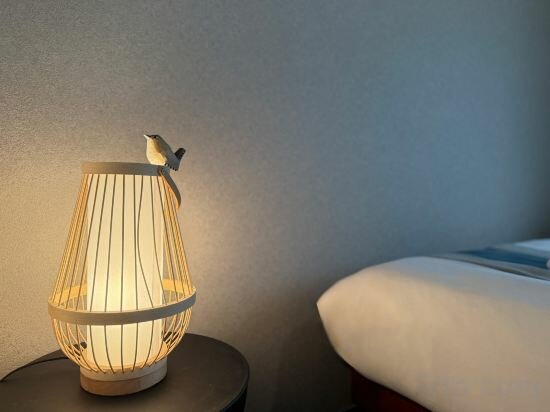 Фото Hg Cozy Hotel No. 61 Imazato Station