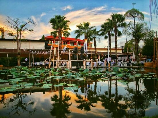 Фото Naina Resort & SPA