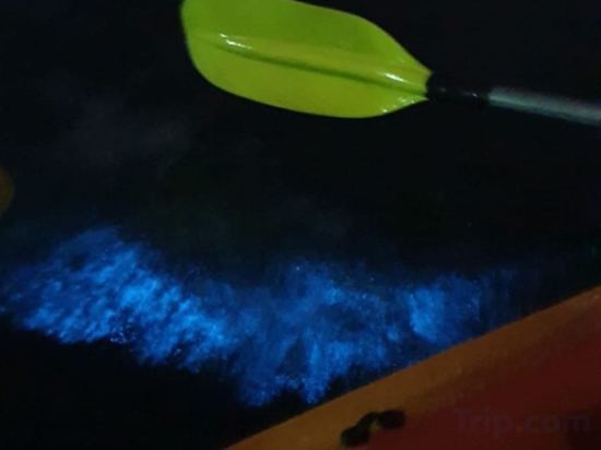 Фото Lan Homestay