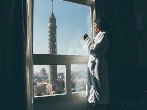 Гостиница Novotel Cairo El Borg в Каире