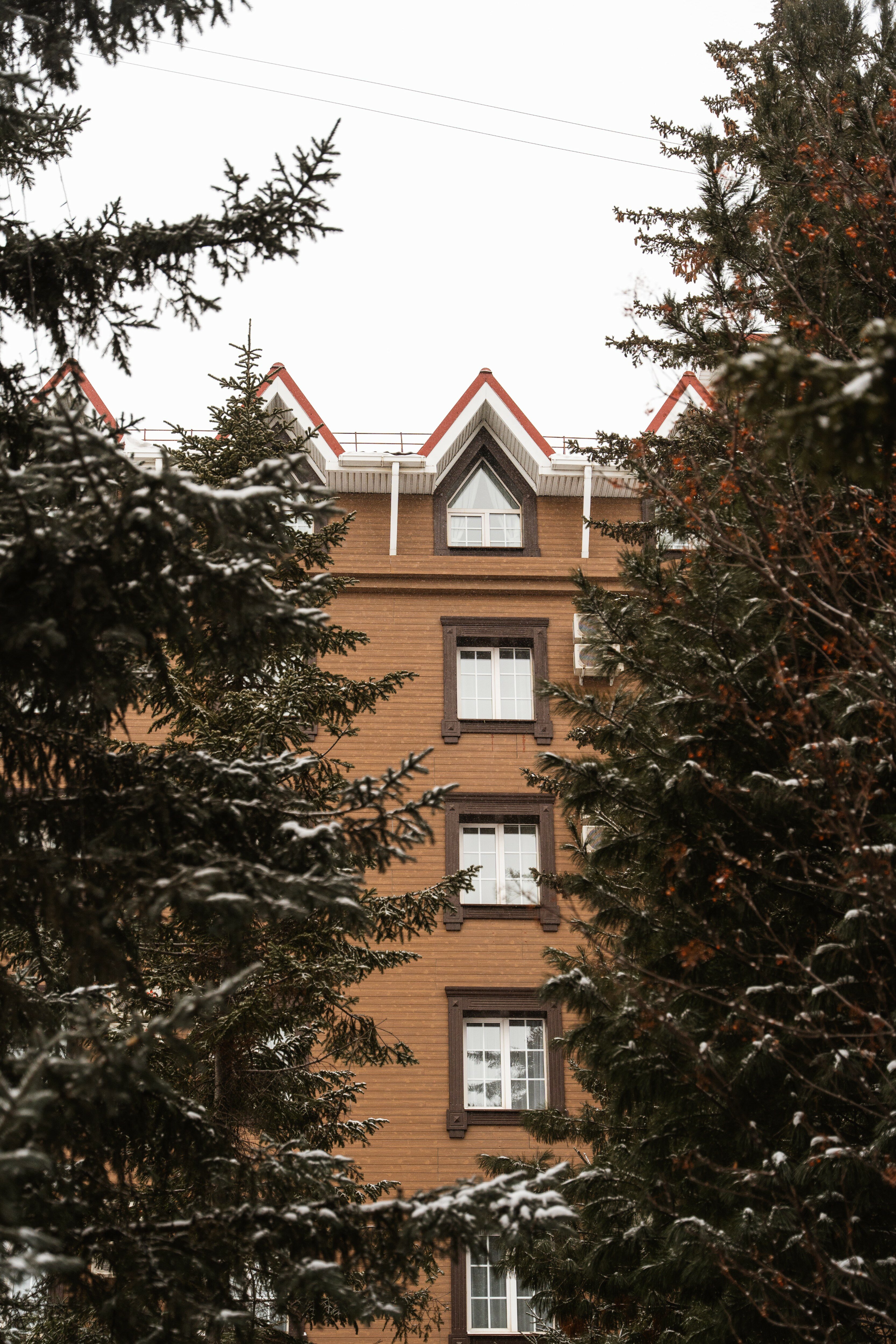 Фото Звезда