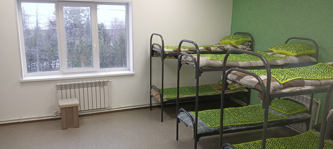 Фото Тундра