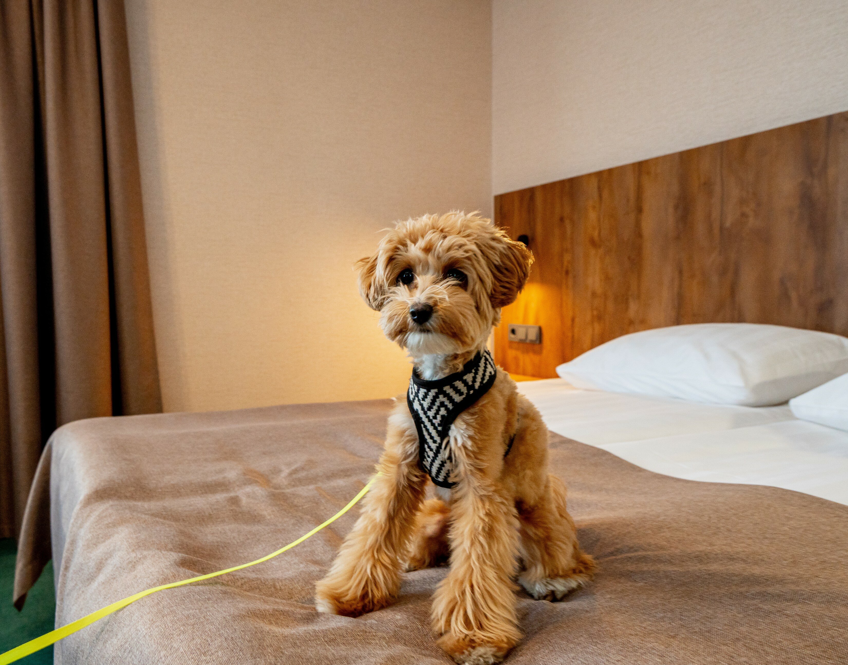 Фото Ямской