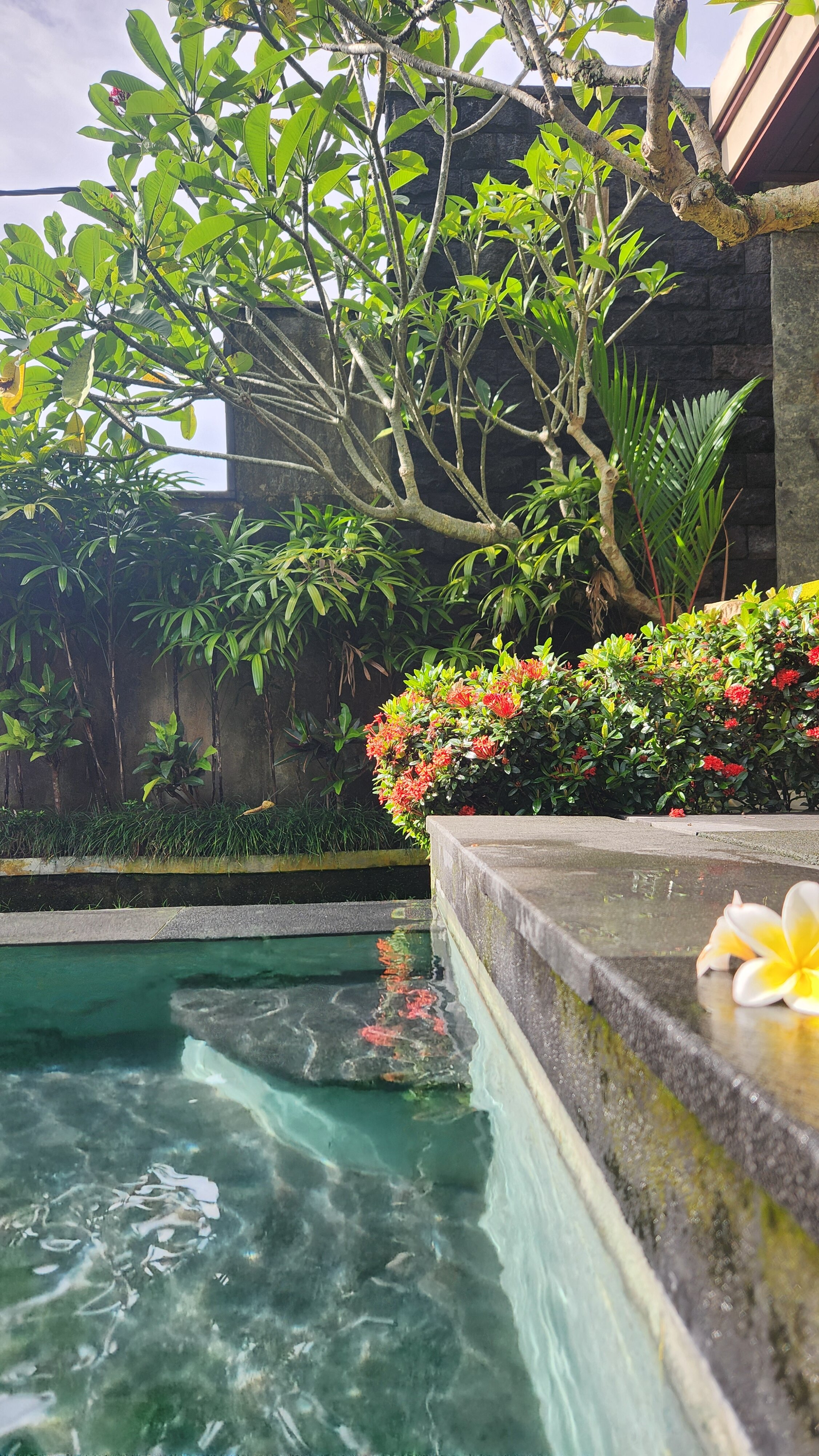 Фото Dupa Ubud Villa