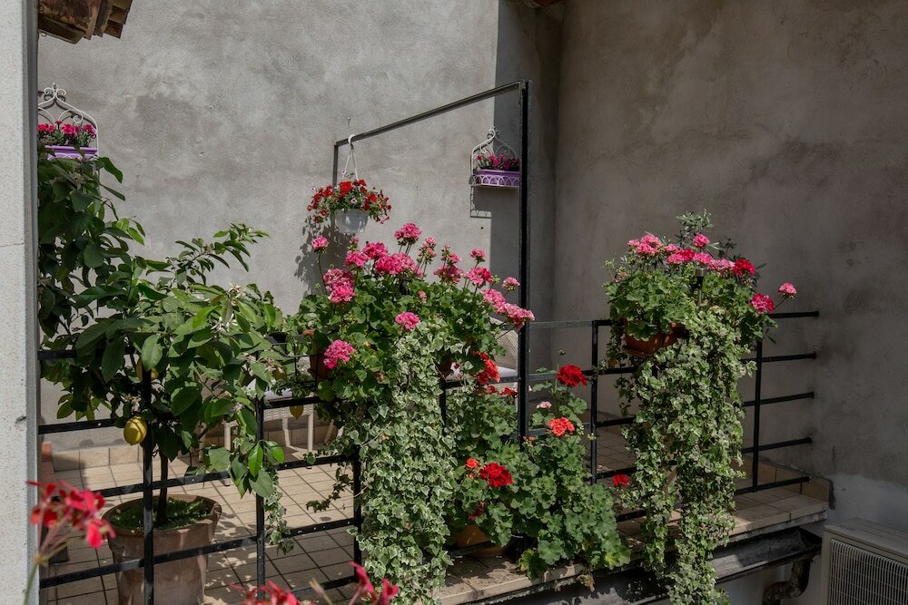 Фото Veronetta House